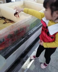 说明: C:UsersAdministratorDesktop学习故事照片A452A4C468265F17FA488177F658BBE4.jpg