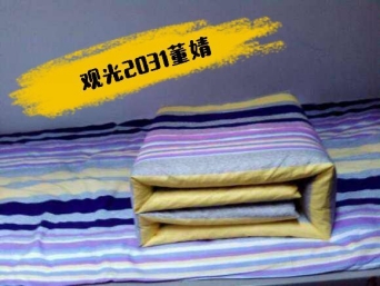 观光2031董婧