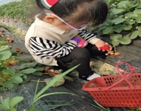 说明: C:UsersAdministratorDesktop学习故事照片1B653F42CEBC310076748FD22495C108.jpg