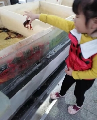 说明: C:UsersAdministratorDesktop学习故事照片A452A4C468265F17FA488177F658BBE4.jpg