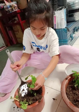 C:\Users\wy\AppData\Local\Temp\WeChat Files\6162e53be99c4c548349e9337effa9e.jpg