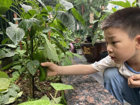 微信图片_20220613123134