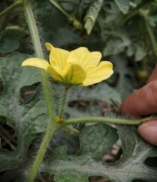 7c9e3c0df209218117e17c65ee77c65