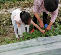 f7838738aa7147ce871726b54a8d292