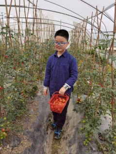 C:\Users\ldx\AppData\Local\Temp\WeChat Files\e1f58a1c2a4fce1c6655a2237d2f90f.jpg