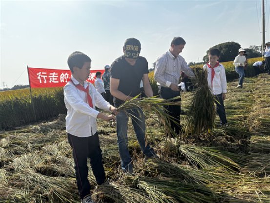 7.教学生捆稻