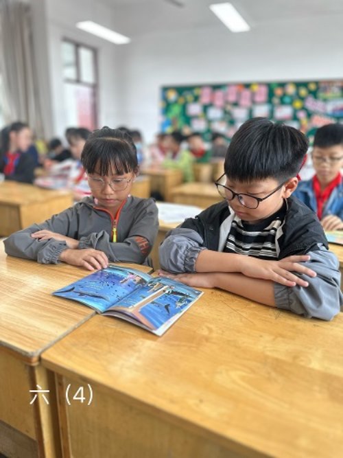 六(4)1