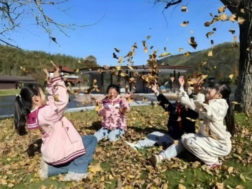 银杏