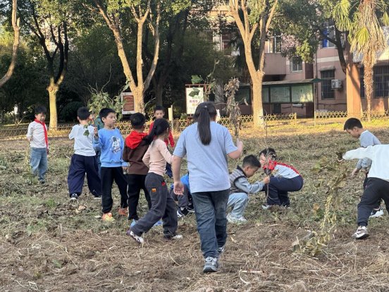 ded83da1f7b634b776f71e0213d7a13c