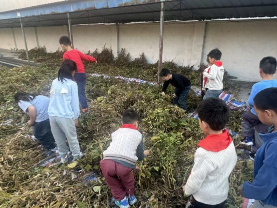 470fb2d705f8c65e3db813be8dd95595