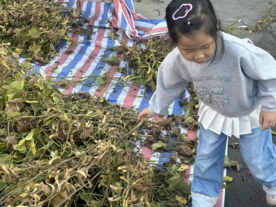 1d49b8884dd4125db2a2fd3f750f93a2