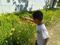 IMG20240528085546