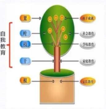 F:wxWeChat Fileswxid_b2xo81e2qqmo22FileStorageTempb648c68a6cdf561ee2559767abaeec0.jpg