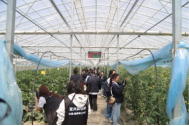 人们站在雕塑前&#xA;&#xA;AI 生成的内容可能不正确。