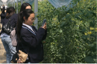 人拿着伞&#xA;&#xA;AI 生成的内容可能不正确。