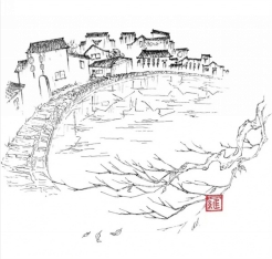 服饰2351罗若语