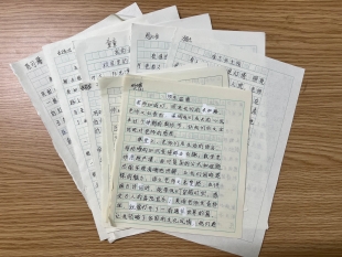 图13