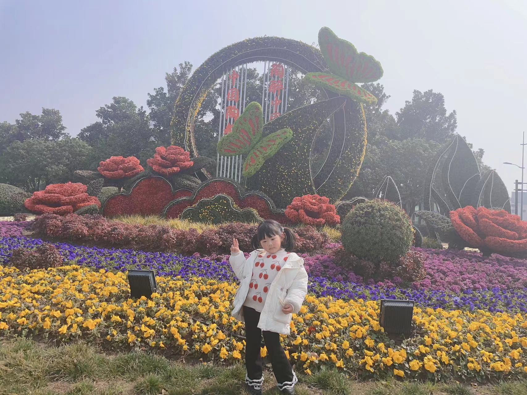 图片1