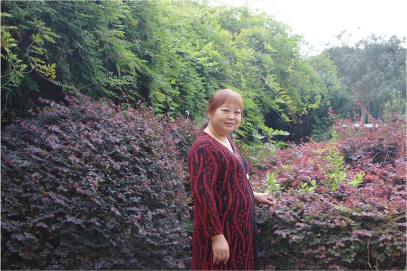 图片3_副本.jpg
