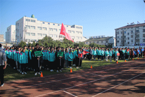 2.gif