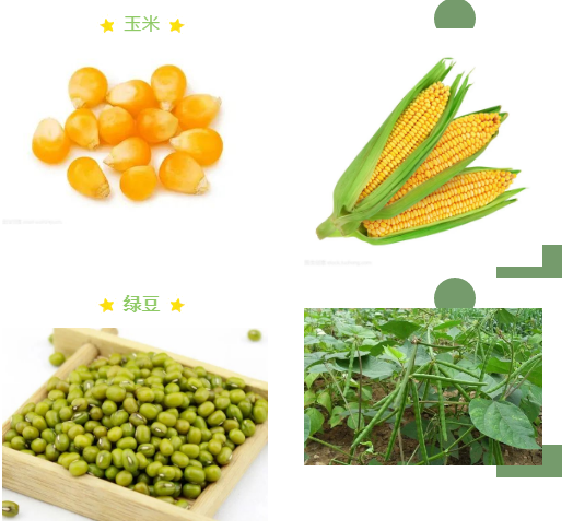NMD13HMECPR8SMQ)EV80P~O.png