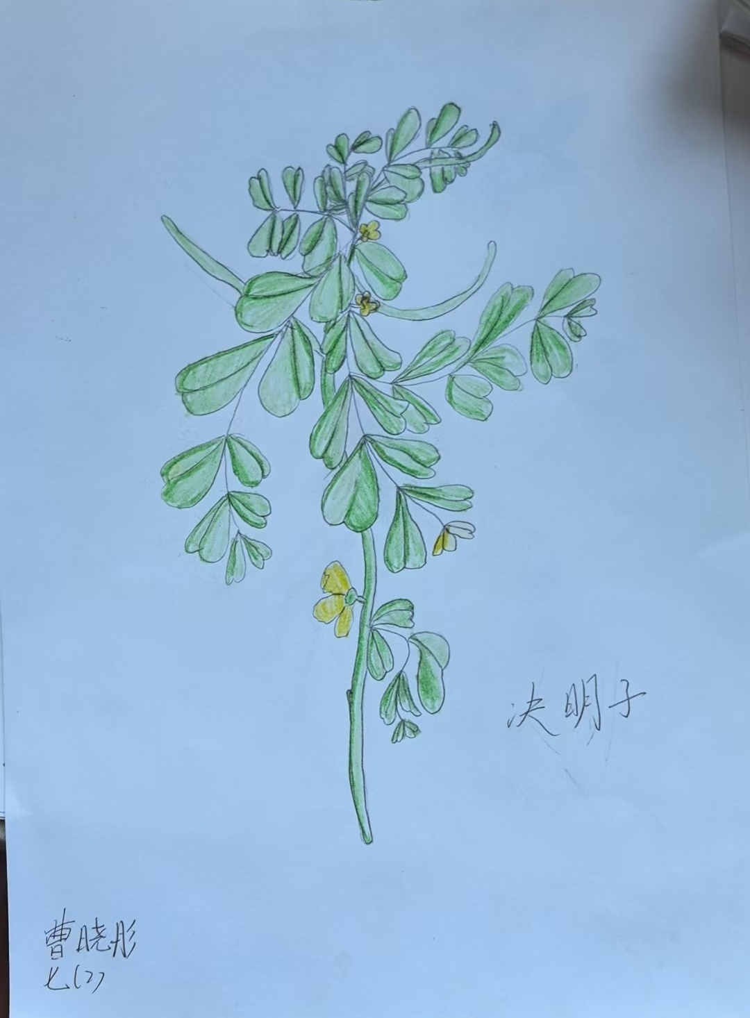 222222_副本_副本.jpg