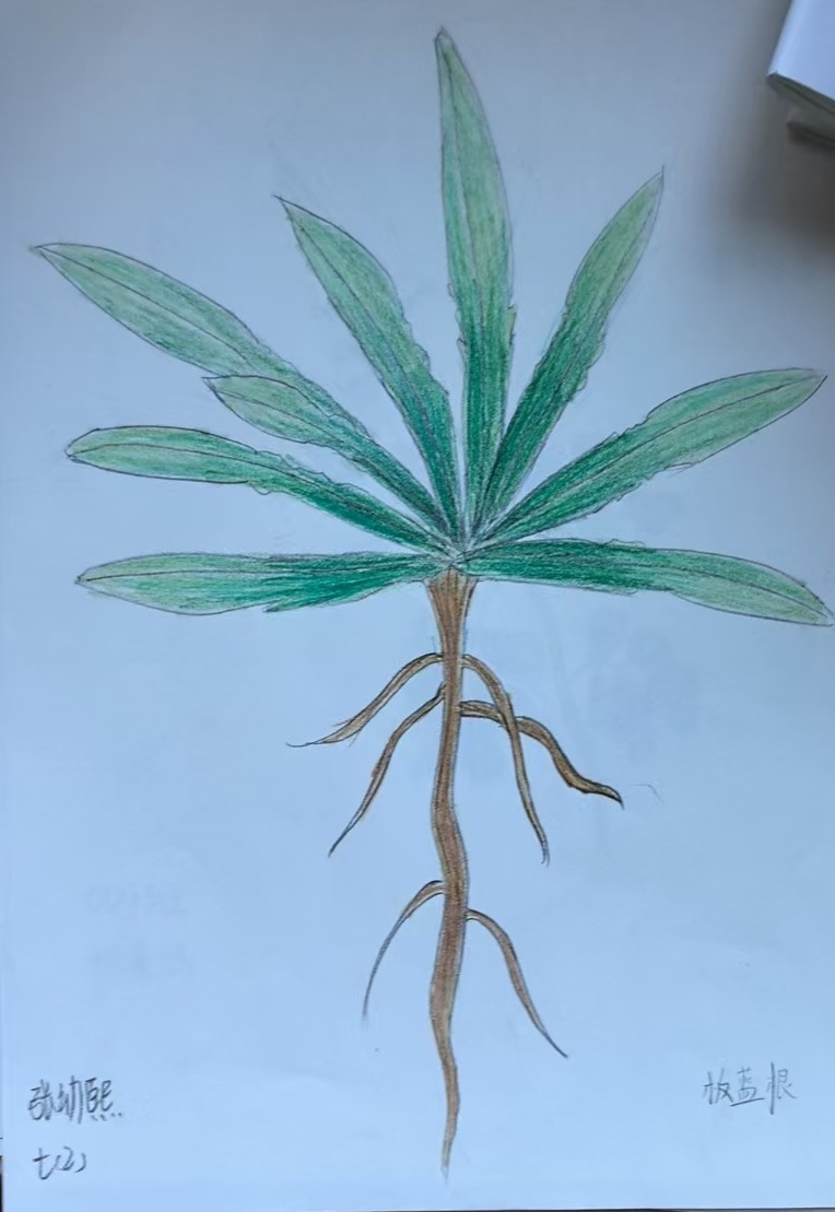 444444_副本_副本.jpg