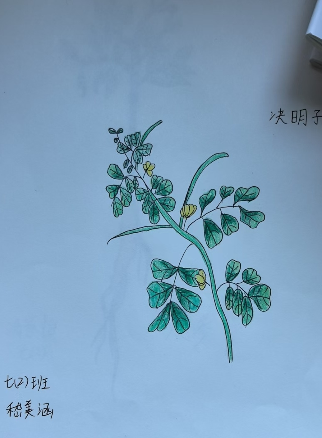 666666_副本_副本.jpg