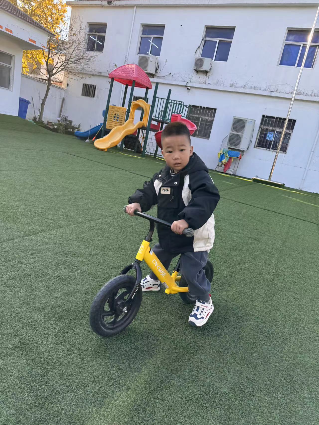 图片1